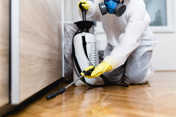Best Local Pest Control Services  in Altavista, VA
