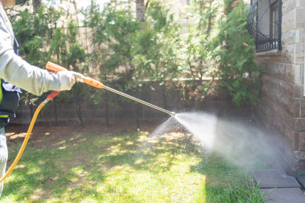 Best Wasp Removal Services  in Altavista, VA