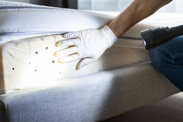 Best Best Pest Control Companies  in Altavista, VA