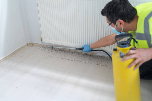 Pest Control Cost in Altavista, VA